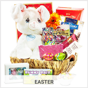 Fruit Baskets Kitchener Ontario Fruit Baskets Kitchener Ontario